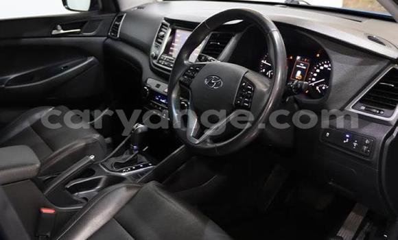 Buy Used Hyundai Tucson Blue Car in Gobabis in Omaheke Buy Used Hyundai Tucson Blue Car in Gobabis in Omaheke