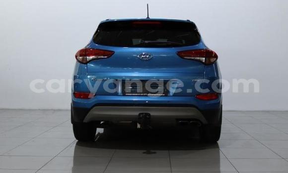 Buy Used Hyundai Tucson Blue Car in Gobabis in Omaheke Buy Used Hyundai Tucson Blue Car in Gobabis in Omaheke