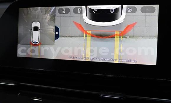 Buy Used Osca 2500 GT Other Car in Gobabis in Omaheke Buy Used Osca 2500 GT Other Car in Gobabis in Omaheke