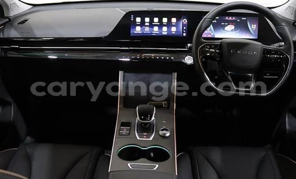 Buy Used Osca 2500 GT Other Car in Gobabis in Omaheke Buy Used Osca 2500 GT Other Car in Gobabis in Omaheke