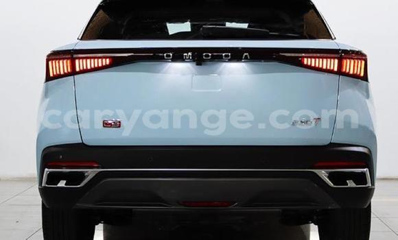 Buy Used Osca 2500 GT Other Car in Gobabis in Omaheke Buy Used Osca 2500 GT Other Car in Gobabis in Omaheke