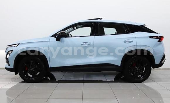 Buy Used Osca 2500 GT Other Car in Gobabis in Omaheke Buy Used Osca 2500 GT Other Car in Gobabis in Omaheke