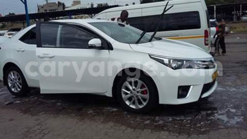 Big with watermark 13529219 1000076850087666 4868195945162105944 n