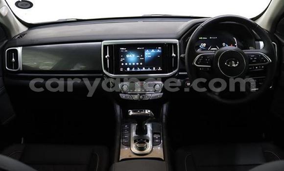 Buy Used GMC Sierra Blue Car in Gobabis in Omaheke Buy Used GMC Sierra Blue Car in Gobabis in Omaheke