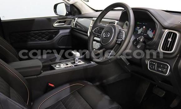 Buy Used GMC Sierra Blue Car in Gobabis in Omaheke Buy Used GMC Sierra Blue Car in Gobabis in Omaheke