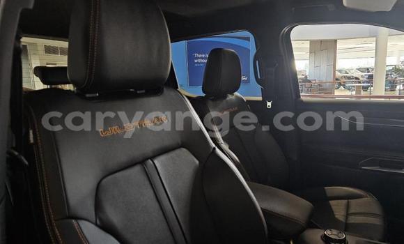 Acheter Occasion Voiture Ford Ranger Bleu à Karasburg, Karas Acheter Occasion Voiture Ford Ranger Bleu à Karasburg, Karas