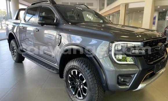 Acheter Occasion Voiture Ford Ranger Autre à Karasburg, Karas