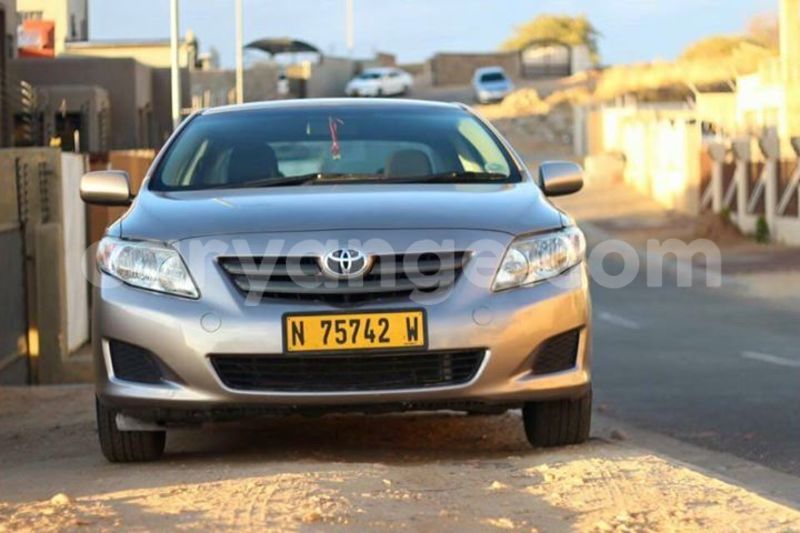 Big with watermark 13501652 10154241956628744 1539600930053911085 n