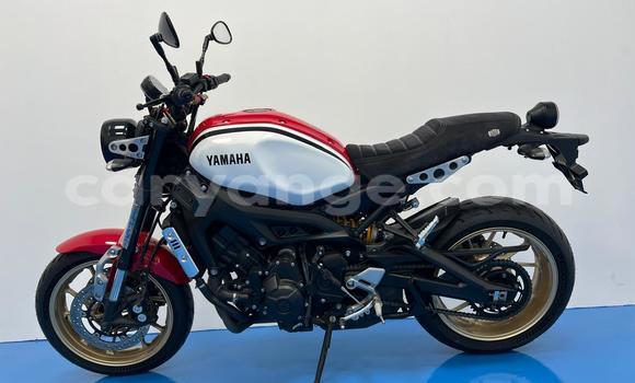 Buy Used Yamaha XSR Red Bike in Windhoek in Namibia Buy Used Yamaha XSR Red Bike in Windhoek in Namibia
