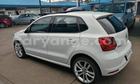 Buy Used Volkswagen Polo White Car in Windhoek in Namibia Buy Used Volkswagen Polo White Car in Windhoek in Namibia