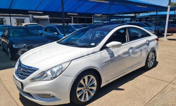 Buy Used Hyundai Sonata White Car in Windhoek in Namibia