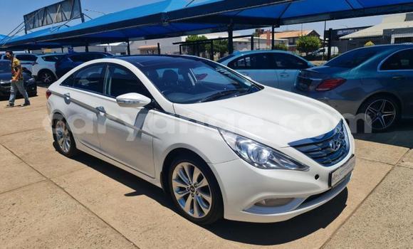 Buy Used Hyundai Sonata White Car in Windhoek in Namibia Buy Used Hyundai Sonata White Car in Windhoek in Namibia