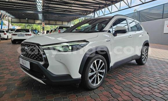 Buy Used Toyota Corolla Cross White Car in Windhoek in Namibia Buy Used Toyota Corolla Cross White Car in Windhoek in Namibia