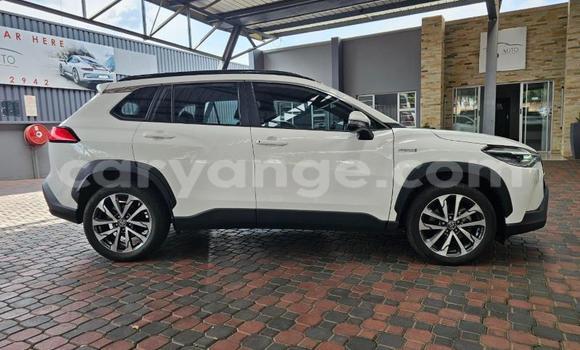 Buy Used Toyota Corolla Cross White Car in Windhoek in Namibia Buy Used Toyota Corolla Cross White Car in Windhoek in Namibia
