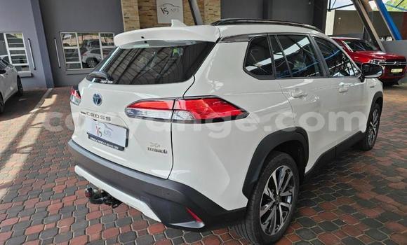 Buy Used Toyota Corolla Cross White Car in Windhoek in Namibia Buy Used Toyota Corolla Cross White Car in Windhoek in Namibia