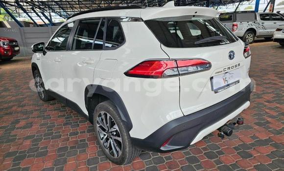 Buy Used Toyota Corolla Cross White Car in Windhoek in Namibia Buy Used Toyota Corolla Cross White Car in Windhoek in Namibia