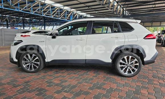 Buy Used Toyota Corolla Cross White Car in Windhoek in Namibia Buy Used Toyota Corolla Cross White Car in Windhoek in Namibia
