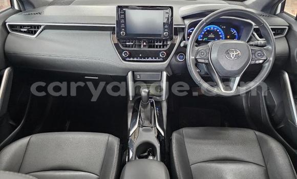 Buy Used Toyota Corolla Cross White Car in Windhoek in Namibia Buy Used Toyota Corolla Cross White Car in Windhoek in Namibia