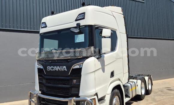 Buy Used Scania R470 White Truck in Windhoek in Namibia