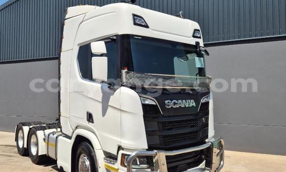 Buy Used Scania R470 White Truck in Windhoek in Namibia Buy Used Scania R470 White Truck in Windhoek in Namibia