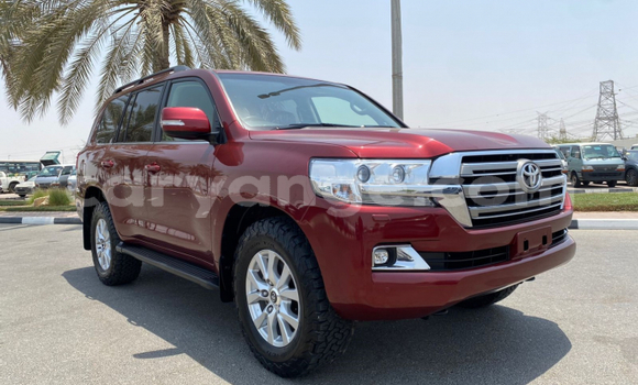 Buy Used Toyota Land Cruiser Red Car in Windhoek in Namibia