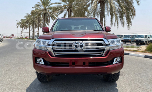 Buy Used Toyota Land Cruiser Red Car in Windhoek in Namibia Buy Used Toyota Land Cruiser Red Car in Windhoek in Namibia