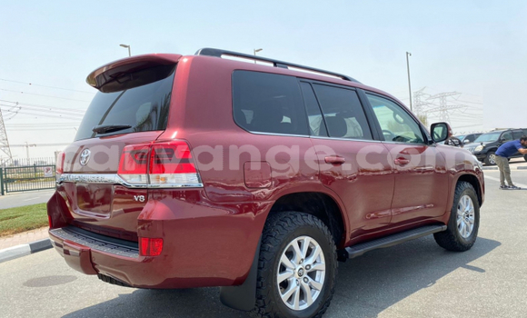 Buy Used Toyota Land Cruiser Red Car in Windhoek in Namibia Buy Used Toyota Land Cruiser Red Car in Windhoek in Namibia