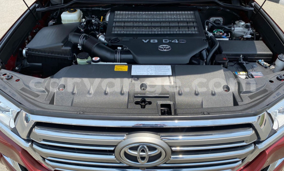 Buy Used Toyota Land Cruiser Red Car in Windhoek in Namibia Buy Used Toyota Land Cruiser Red Car in Windhoek in Namibia