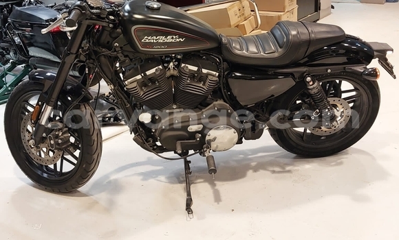 Buy Used Harley Davidson Sportster Black Bike in Windhoek in Namibia