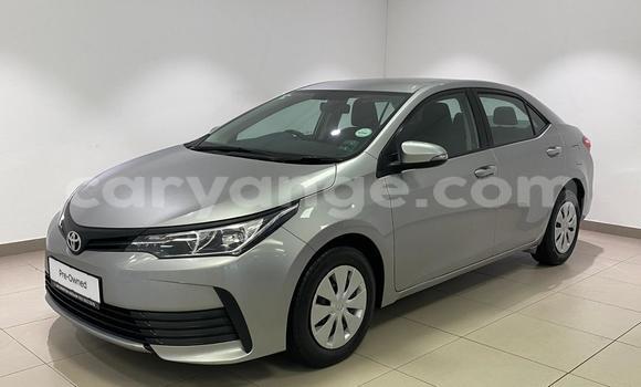 Buy Used Toyota Corolla Silver Car in Windhoek in Namibia Buy Used Toyota Corolla Silver Car in Windhoek in Namibia