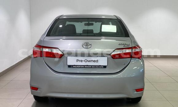 Acheter Occasion Voiture Toyota Corolla Gris à Windhoek, Namibie Acheter Occasion Voiture Toyota Corolla Gris à Windhoek, Namibie