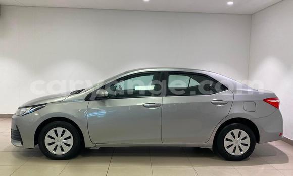 Acheter Occasion Voiture Toyota Corolla Gris à Windhoek, Namibie Acheter Occasion Voiture Toyota Corolla Gris à Windhoek, Namibie