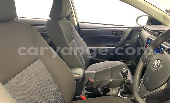 Acheter Occasion Voiture Toyota Corolla Gris à Windhoek, Namibie Acheter Occasion Voiture Toyota Corolla Gris à Windhoek, Namibie