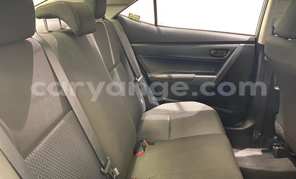 Acheter Occasion Voiture Toyota Corolla Gris à Windhoek, Namibie Acheter Occasion Voiture Toyota Corolla Gris à Windhoek, Namibie