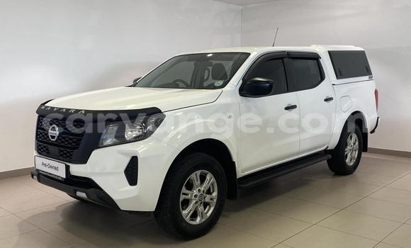 Buy Used Nissan Navara White Car in Windhoek in Namibia