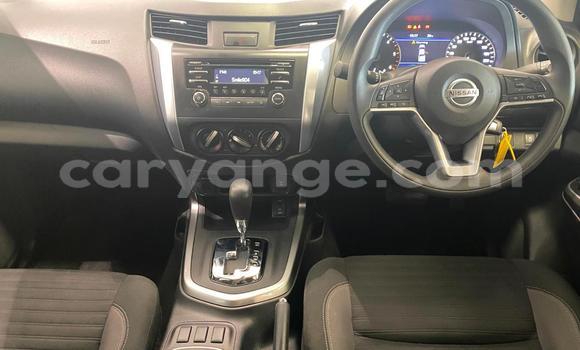 Buy Used Nissan Navara White Car in Windhoek in Namibia Buy Used Nissan Navara White Car in Windhoek in Namibia