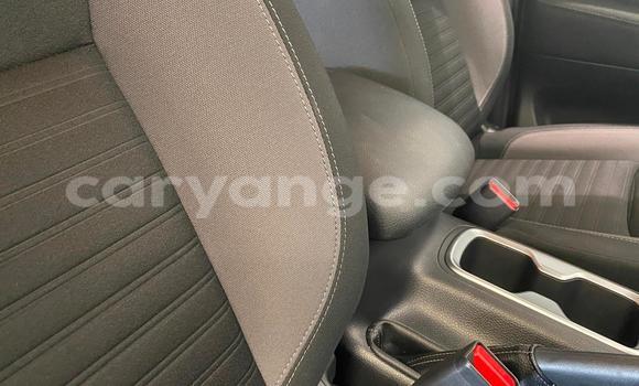 Buy Used Nissan Navara White Car in Windhoek in Namibia Buy Used Nissan Navara White Car in Windhoek in Namibia