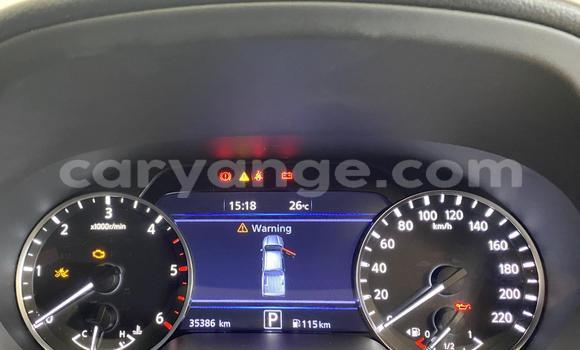 Buy Used Nissan Navara White Car in Windhoek in Namibia Buy Used Nissan Navara White Car in Windhoek in Namibia