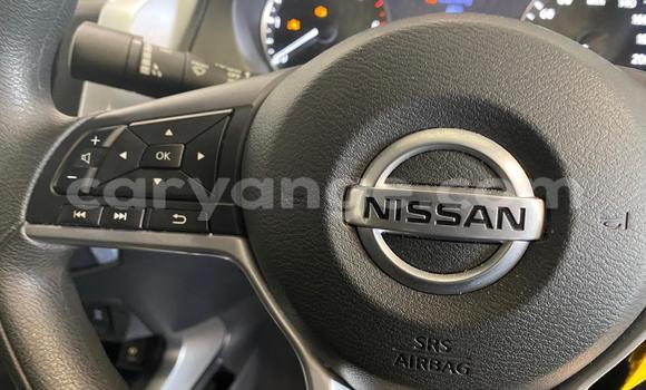 Buy Used Nissan Navara White Car in Windhoek in Namibia Buy Used Nissan Navara White Car in Windhoek in Namibia