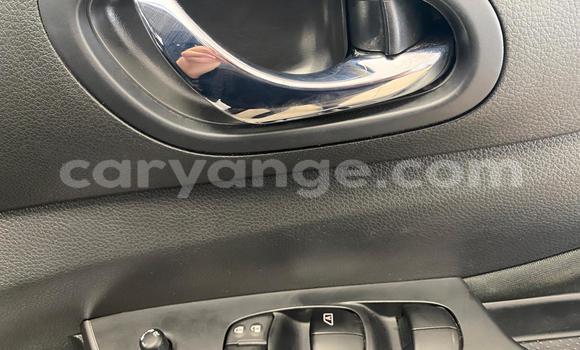 Buy Used Nissan Navara White Car in Windhoek in Namibia Buy Used Nissan Navara White Car in Windhoek in Namibia