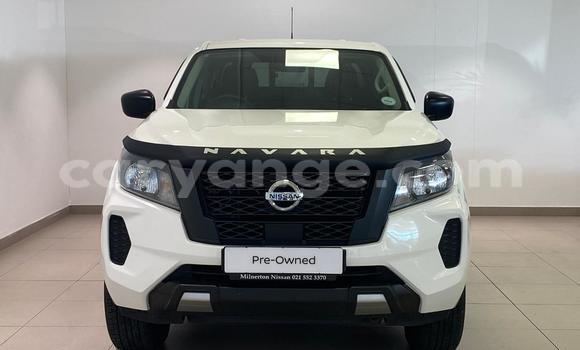 Buy Used Nissan Navara White Car in Windhoek in Namibia Buy Used Nissan Navara White Car in Windhoek in Namibia
