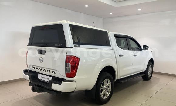 Buy Used Nissan Navara White Car in Windhoek in Namibia Buy Used Nissan Navara White Car in Windhoek in Namibia