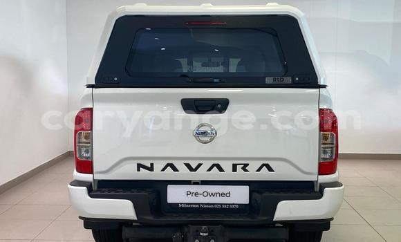 Buy Used Nissan Navara White Car in Windhoek in Namibia Buy Used Nissan Navara White Car in Windhoek in Namibia