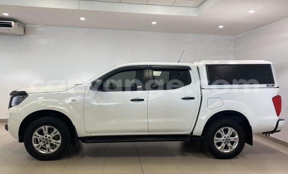 Buy Used Nissan Navara White Car in Windhoek in Namibia Buy Used Nissan Navara White Car in Windhoek in Namibia