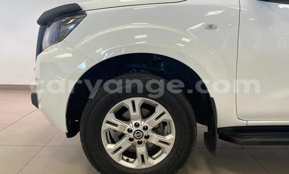Buy Used Nissan Navara White Car in Windhoek in Namibia Buy Used Nissan Navara White Car in Windhoek in Namibia