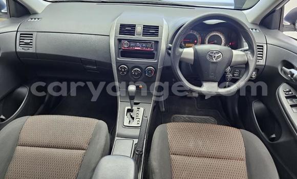 Buy Used Toyota Corolla White Car in Gobabis in Omaheke Buy Used Toyota Corolla White Car in Gobabis in Omaheke