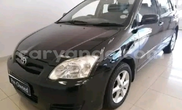 Buy Used Toyota Runx Black Car in Gobabis in Omaheke Buy Used Toyota Runx Black Car in Gobabis in Omaheke