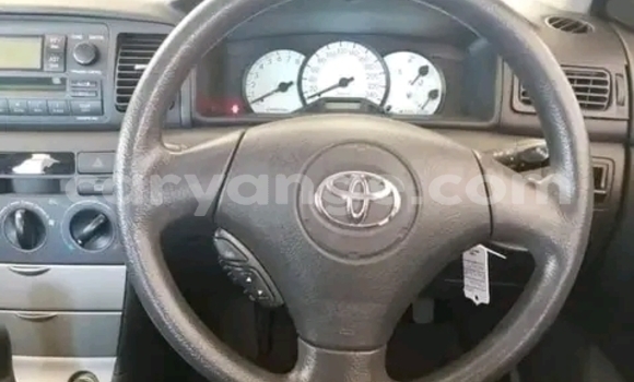 Buy Used Toyota Runx Black Car in Gobabis in Omaheke Buy Used Toyota Runx Black Car in Gobabis in Omaheke