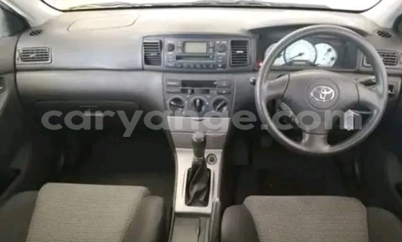 Buy Used Toyota Runx Black Car in Gobabis in Omaheke Buy Used Toyota Runx Black Car in Gobabis in Omaheke