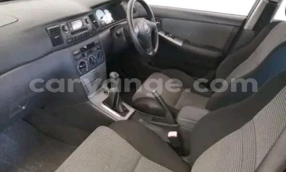 Buy Used Toyota Runx Black Car in Gobabis in Omaheke Buy Used Toyota Runx Black Car in Gobabis in Omaheke